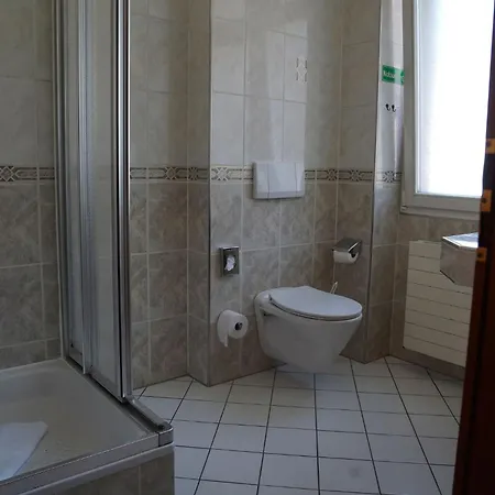 Hotel Porta Nigra Victus *